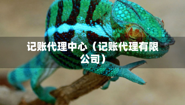 記賬代理中心（記賬代理有限公司）