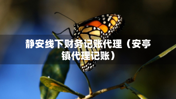 靜安線下財(cái)務(wù)記賬代理（安亭鎮(zhèn)代理記賬）