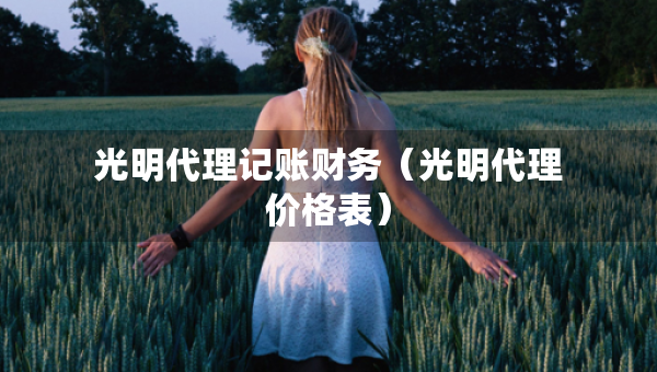 光明代理記賬財(cái)務(wù)（光明代理價(jià)格表）