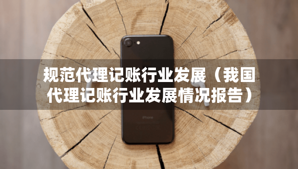 規(guī)范代理記賬行業(yè)發(fā)展（我國代理記賬行業(yè)發(fā)展情況報告）