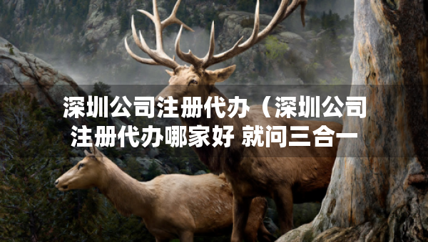 深圳公司注冊代辦（深圳公司注冊代辦哪家好 就問三合一企服）