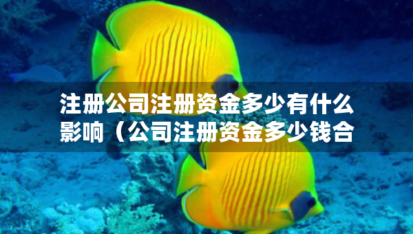 注冊公司注冊資金多少有什么影響（公司注冊資金多少錢合理）