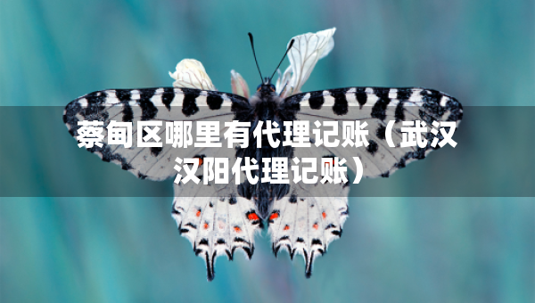 蔡甸區(qū)哪里有代理記賬（武漢漢陽(yáng)代理記賬）