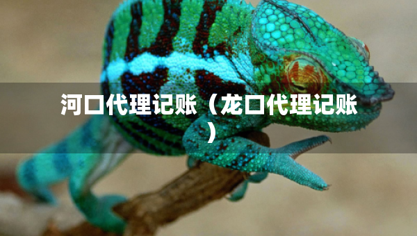 河口代理記賬（龍口代理記賬）