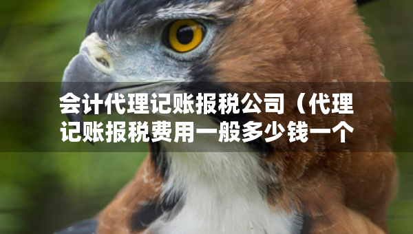 會計代理記賬報稅公司（代理記賬報稅費用一般多少錢一個月）