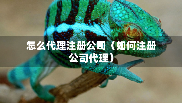 怎么代理注冊公司（如何注冊公司代理）