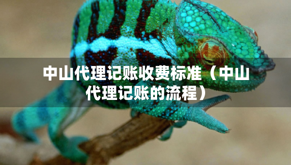 中山代理記賬收費標(biāo)準(zhǔn)（中山代理記賬的流程）
