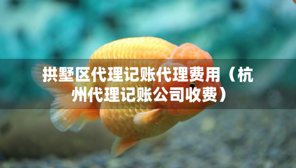 拱墅區(qū)代理記賬代理費(fèi)用（杭州代理記賬公司收費(fèi)）