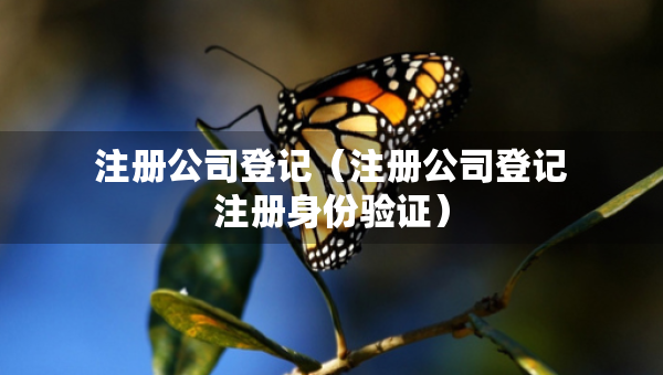 注冊(cè)公司登記（注冊(cè)公司登記注冊(cè)身份驗(yàn)證）