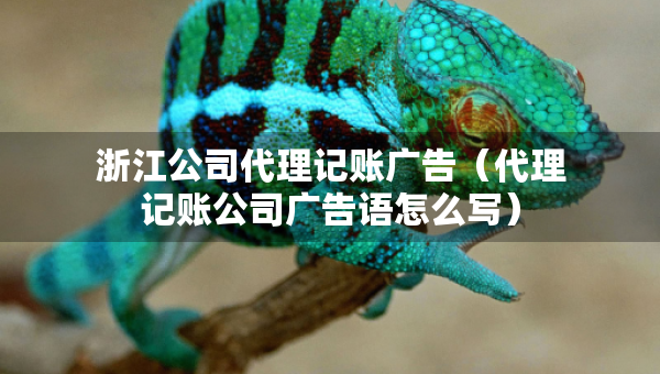 浙江公司代理記賬廣告（代理記賬公司廣告語怎么寫）