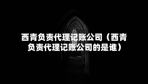 西青負(fù)責(zé)代理記賬公司（西青負(fù)責(zé)代理記賬公司的是誰）
