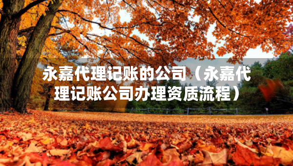 永嘉代理記賬的公司（永嘉代理記賬公司辦理資質(zhì)流程）