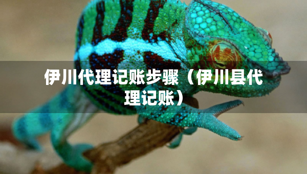 伊川代理記賬步驟（伊川縣代理記賬）