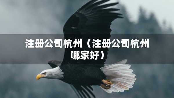 注冊公司杭州（注冊公司杭州哪家好）