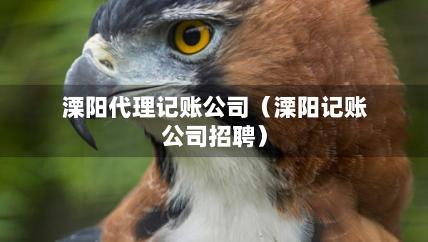 溧陽代理記賬公司（溧陽記賬公司招聘）