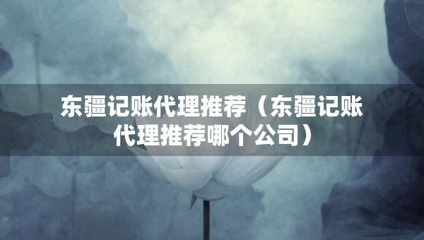 東疆記賬代理推薦（東疆記賬代理推薦哪個(gè)公司）