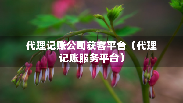 代理記賬公司獲客平臺（代理記賬服務(wù)平臺）