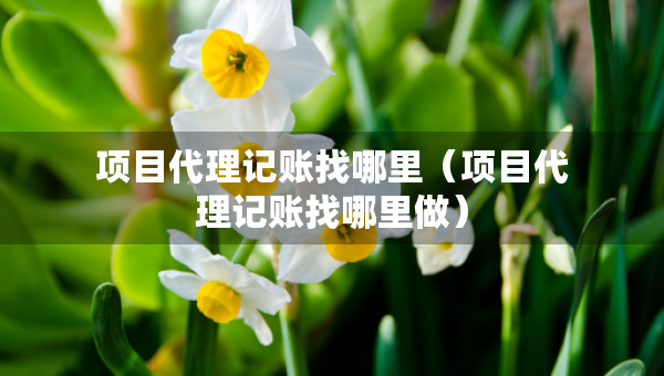 項目代理記賬找哪里（項目代理記賬找哪里做）