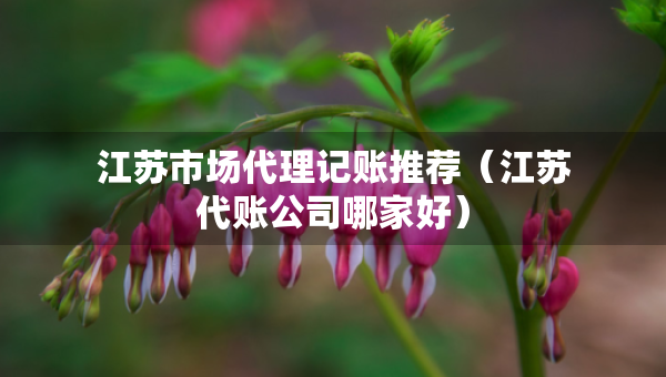 江蘇市場代理記賬推薦（江蘇代賬公司哪家好）