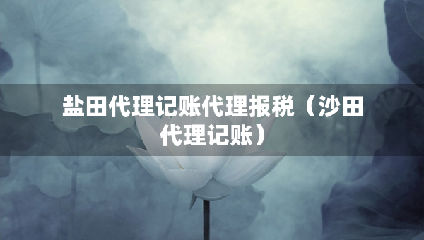 鹽田代理記賬代理報稅（沙田代理記賬）