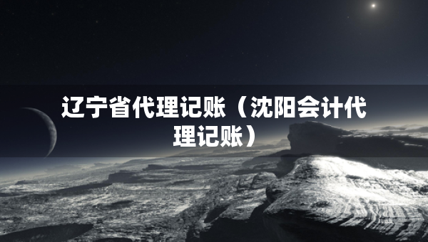 遼寧省代理記賬（沈陽會計代理記賬）