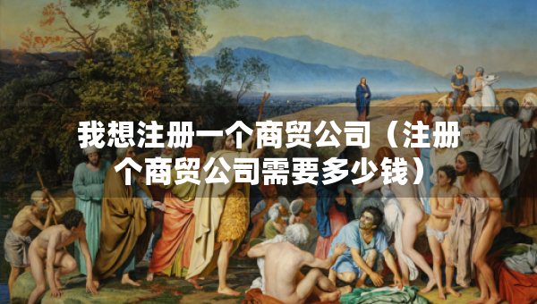 我想注冊(cè)一個(gè)商貿(mào)公司（注冊(cè)個(gè)商貿(mào)公司需要多少錢(qián)）