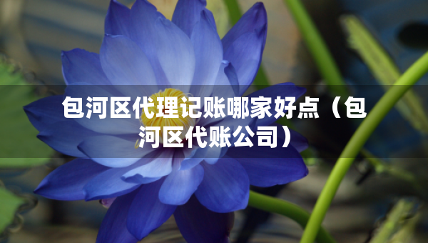 包河區(qū)代理記賬哪家好點（包河區(qū)代賬公司）