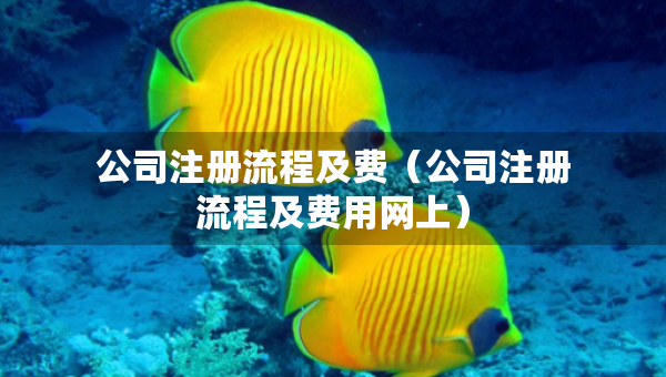 公司注冊流程及費（公司注冊流程及費用網(wǎng)上）