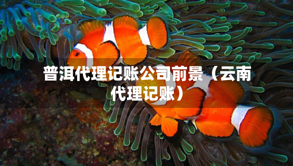 普洱代理記賬公司前景（云南代理記賬）