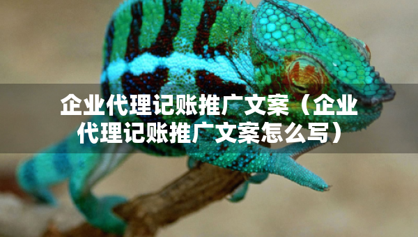 企業(yè)代理記賬推廣文案（企業(yè)代理記賬推廣文案怎么寫）