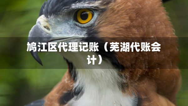 鳩江區(qū)代理記賬（蕪湖代賬會(huì)計(jì)）