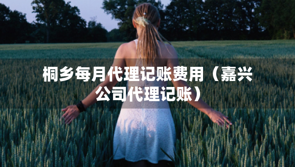 桐鄉(xiāng)每月代理記賬費用（嘉興公司代理記賬）