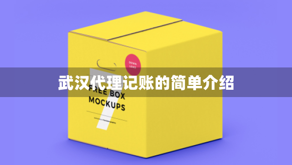 武漢代理記賬的簡單介紹