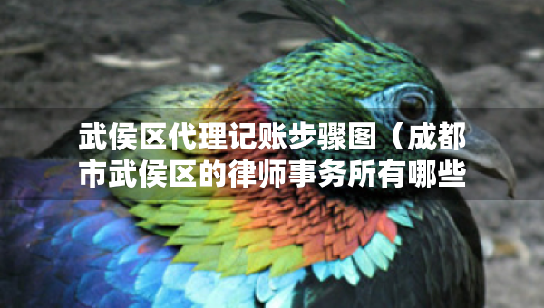武侯區(qū)代理記賬步驟圖（成都市武侯區(qū)的律師事務所有哪些?）
