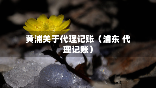 黃浦關于代理記賬（浦東 代理記賬）