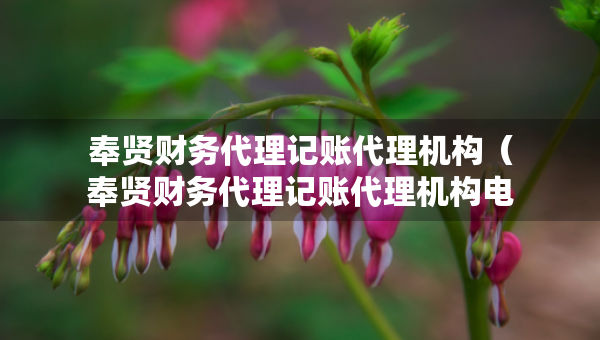 奉賢財(cái)務(wù)代理記賬代理機(jī)構(gòu)（奉賢財(cái)務(wù)代理記賬代理機(jī)構(gòu)電話）