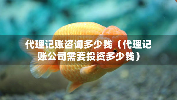 代理記賬咨詢多少錢（代理記賬公司需要投資多少錢）