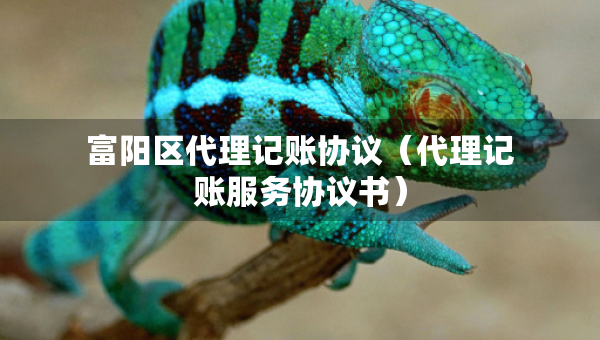 富陽區(qū)代理記賬協(xié)議（代理記賬服務(wù)協(xié)議書）
