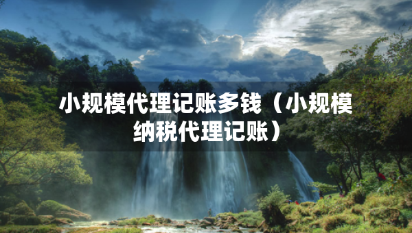 小規(guī)模代理記賬多錢（小規(guī)模納稅代理記賬）