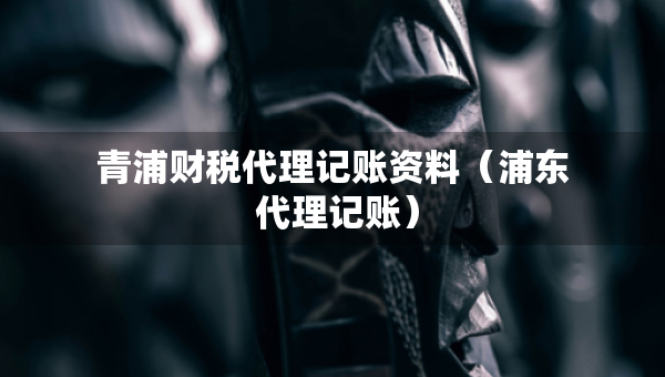 青浦財(cái)稅代理記賬資料（浦東 代理記賬）
