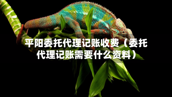 平陽委托代理記賬收費（委托代理記賬需要什么資料）