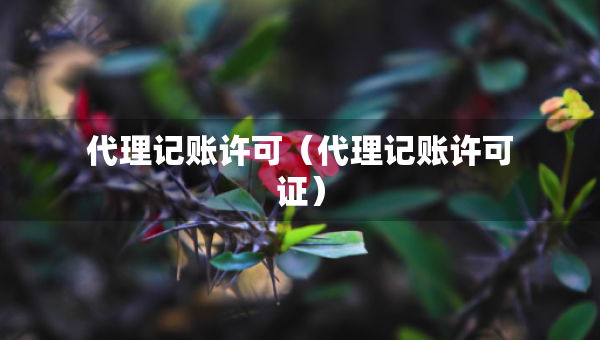 代理記賬許可（代理記賬許可證）
