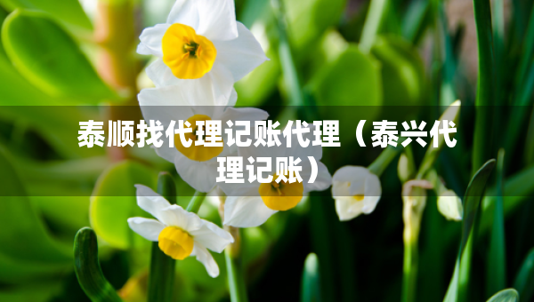 泰順找代理記賬代理（泰興代理記賬）