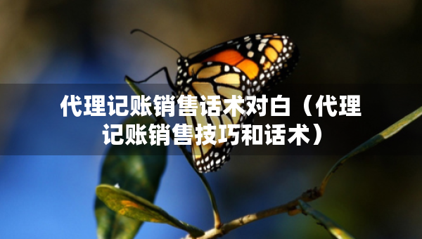 代理記賬銷售話術(shù)對(duì)白（代理記賬銷售技巧和話術(shù)）