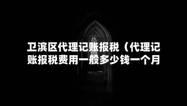 衛(wèi)濱區(qū)代理記賬報(bào)稅（代理記賬報(bào)稅費(fèi)用一般多少錢一個(gè)月）