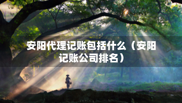 安陽代理記賬包括什么（安陽記賬公司排名）