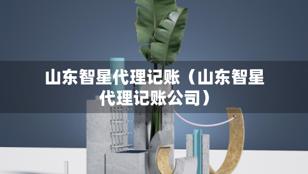 山東智星代理記賬（山東智星代理記賬公司）
