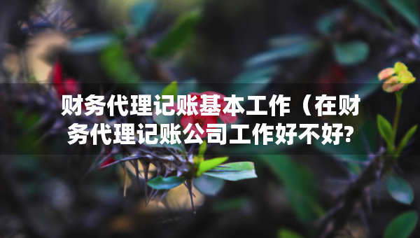 財務(wù)代理記賬基本工作（在財務(wù)代理記賬公司工作好不好?）