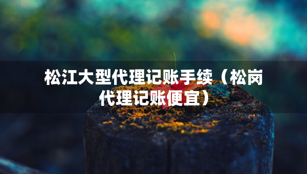 松江大型代理記賬手續(xù)（松崗代理記賬便宜）