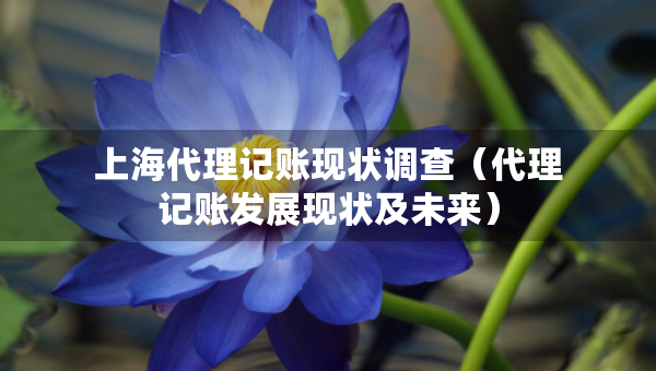 上海代理記賬現(xiàn)狀調(diào)查（代理記賬發(fā)展現(xiàn)狀及未來）